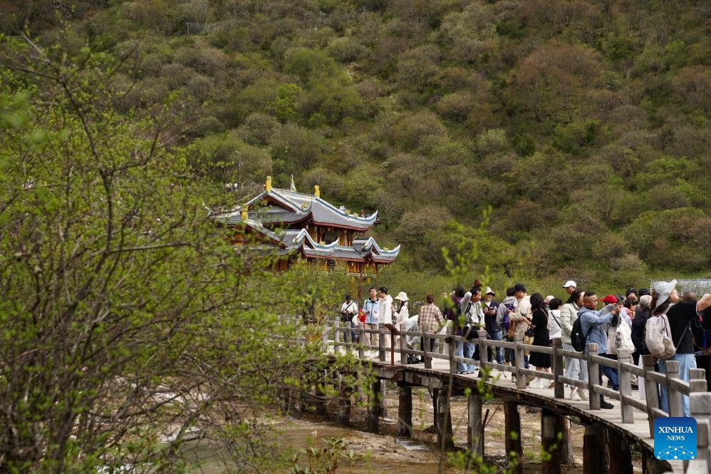 This photo taken on June 4, 2026 shows a view of the Huanglong scenic area in Aba Tibetan and Qiang Autonomous Prefecture, southwest China's Sichuan Province. (Xinhua/Duan Zhuoli)