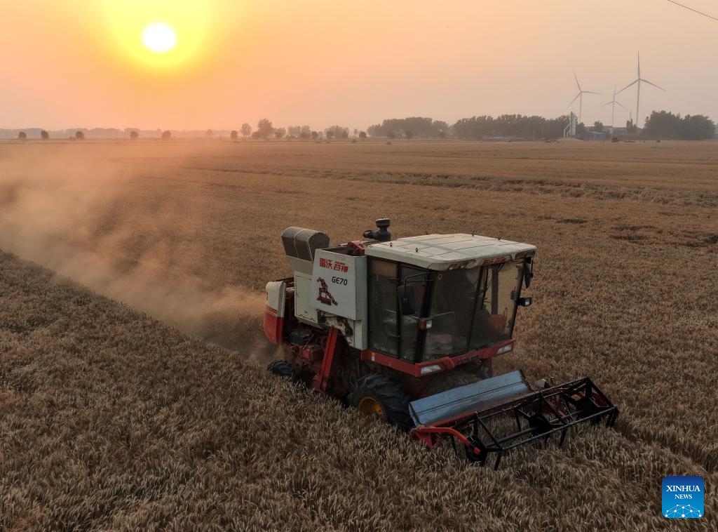 An aerial drone photo taken on June 3, 2026 shows a reaper harvesting wheat in Taikang County of Zhoukou City, central China's Henan Province. (Xinhua/Li Jianan)