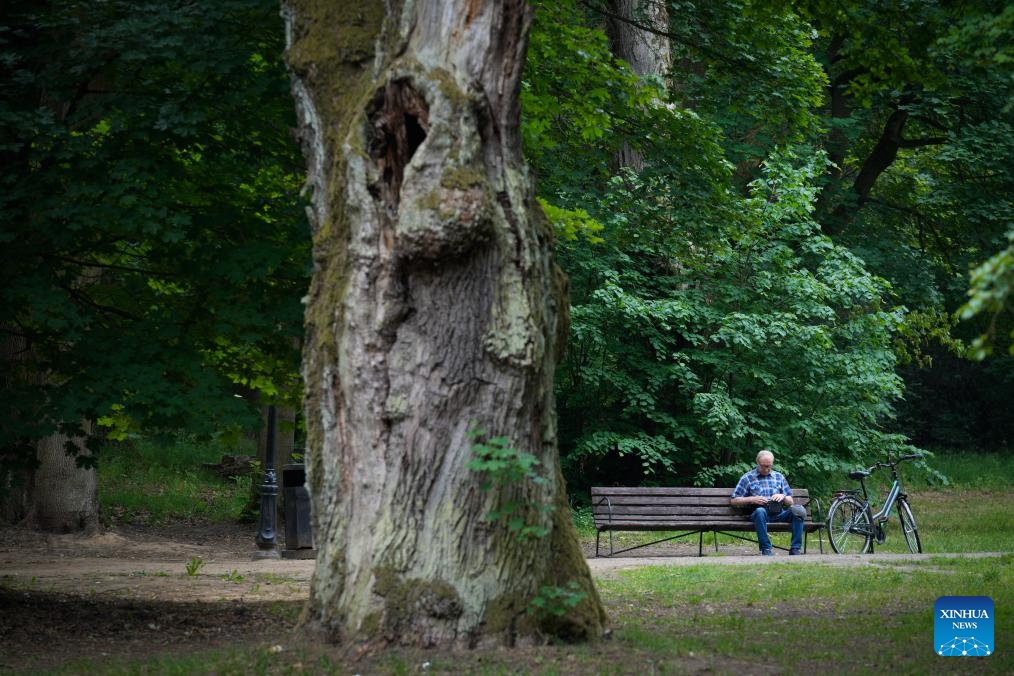 A man rests in the Jablonna Palace complex near Warsaw, Poland on June 5, 2026. The Jablonna Palace is a notable neoclassical palace complex about 20 kilometers north of Warsaw. (Photo: Xinhua)