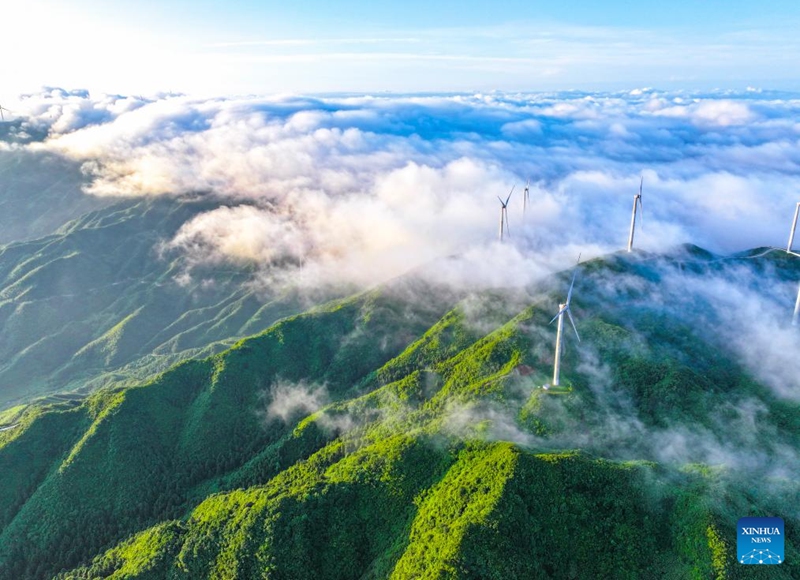 An aerial drone photo taken on June 6, 2026 shows the scenery of a sea of clouds after rain in Tashan Yao Township, Changning City, central China's Hunan Province. (Photo by Zhou Xiuyuchun/Xinhua)