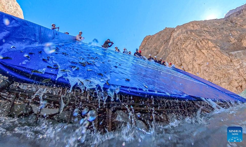 This photo taken on June 5, 2026 shows a fish release event at the Changbo hydropower station operated by Huadian Jinsha River Upstream Hydropower Development Co., Ltd. in southwest China's Sichuan Province. (Xinhua)