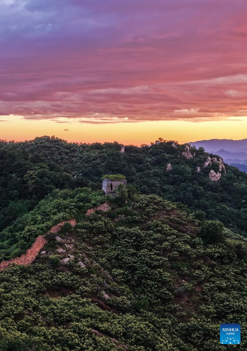 An aerial drone photo taken on June 6, 2026 shows the scenery of the Great Wall at sunset in Zunhua City of north China's Hebei Province. (Photo by Liu Mancang/Xinhua)