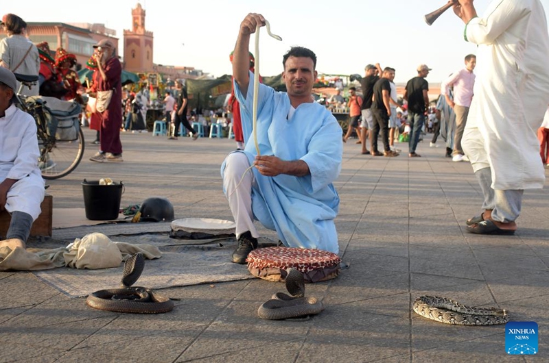 A performer showcases a snake act at the Jemaa el-Fna square in Marrakech, Morocco, June 5, 2026. Located in the heart of Marrakech, Jemaa el-Fna, a World Heritage Site, is regarded as a Sleepless Square because of the continuous flow of people from morning to night. (Photo by Aissa/Xinhua)