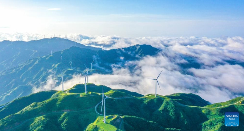 An aerial drone photo taken on June 6, 2026 shows the scenery of a sea of clouds after rain in Tashan Yao Township, Changning City, central China's Hunan Province. (Photo by Zhou Xiuyuchun/Xinhua)