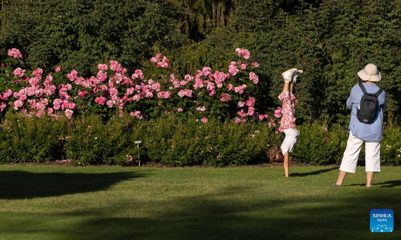 People take photos with roses during a rose display event at the Volcji Potok Arboretum near Kamnik, Slovenia, June 6, 2026. (Photo by Zeljko Stevanic/Xinhua)
