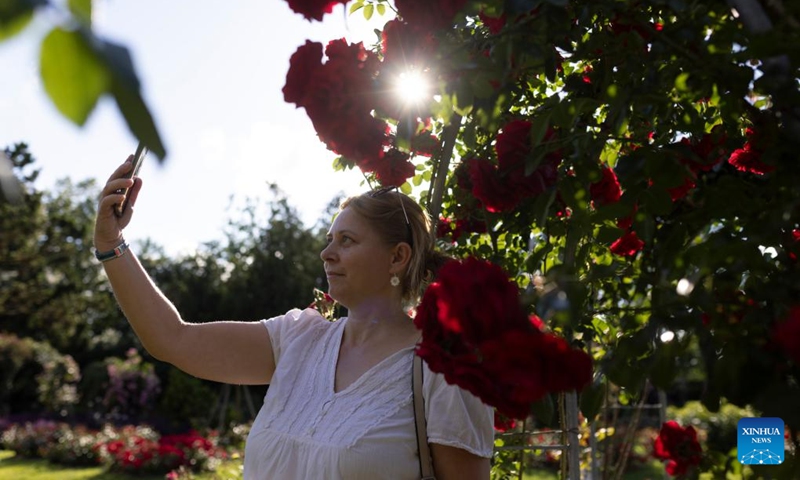 A woman takes selfies with roses during a rose display event at the Volcji Potok Arboretum near Kamnik, Slovenia, June 6, 2026. (Photo by Zeljko Stevanic/Xinhua)
