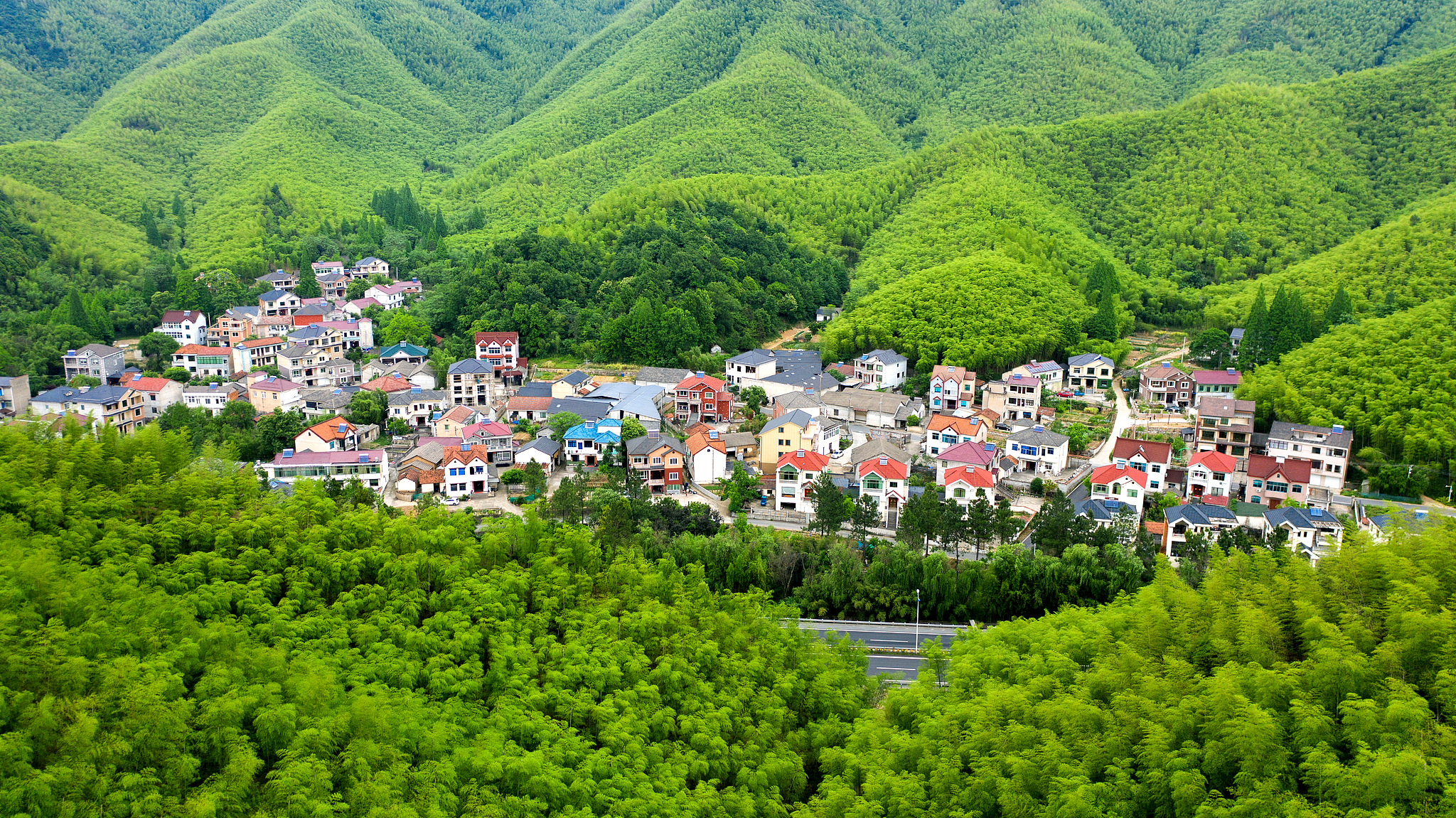 An aerial view of  lush green bamboo scenery in Anji County, East China's Zhejiang Province File photo: VCG