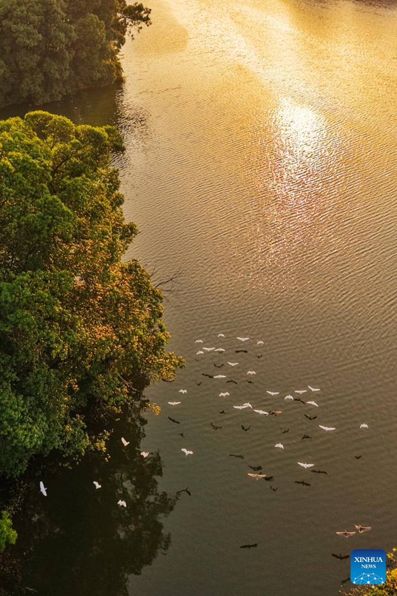 This aerial drone photo taken on June 5, 2026 shows a view of Longshui Lake in Dazu District of southwest China's Chongqing Municipality. (Photo by Guo Xu/Xinhua)