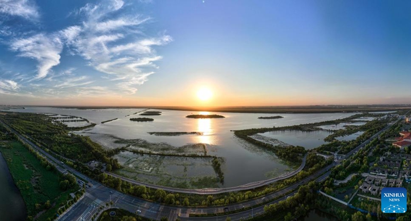 A panoramic drone photo taken on June 7, 2026 shows a view of the Hengshui Lake in Hengshui, north China's Hebei Province. As a key wetland ecosystem in northern China and a vital stopover for migratory birds on the East Asian-Australasian Flyway, Hengshui Lake, with its excellent ecological environment, has become an ideal home for numerous rare birds to inhabit, breed, and rest. Photo: Xinhua