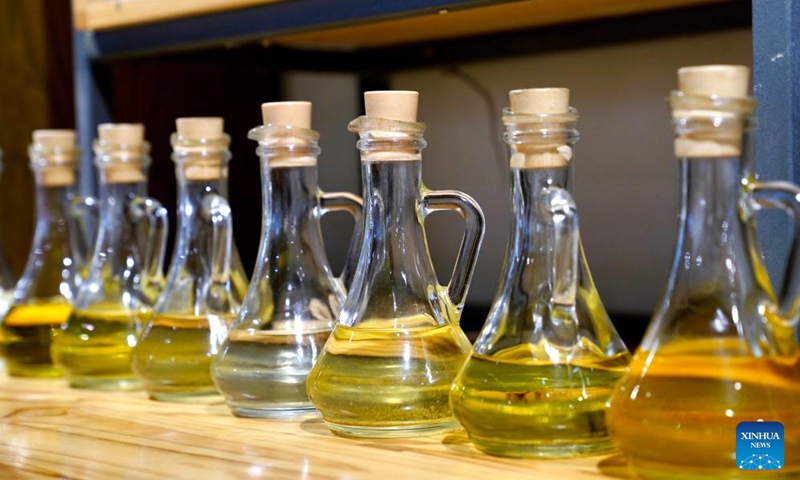 This photo taken on June 7, 2026 shows olive oil samples at an olive processing company in Wudu District, Longnan, northwest China's Gansu Province.
Wudu District in Longnan is one of China's prime areas for olive cultivation, with its olive industry leading the nation in scale, output and economic returns.
By 2025, the olive plantation area of Wudu District covered about 42,800 hectares, generating a total output value of four billion yuan (about 591 million U.S. dollars).
The district has developed a comprehensive olive industry chain which incorporates over 80 products across 10 major categories, including olive oil, health supplements, and skincare items. Photo: Xinhua