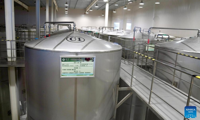 This photo taken on June 7, 2026 shows olive oil storage tanks at an olive processing company in Wudu District, Longnan, northwest China's Gansu Province.
Wudu District in Longnan is one of China's prime areas for olive cultivation, with its olive industry leading the nation in scale, output and economic returns.
By 2025, the olive plantation area of Wudu District covered about 42,800 hectares, generating a total output value of four billion yuan (about 591 million U.S. dollars).
The district has developed a comprehensive olive industry chain which incorporates over 80 products across 10 major categories, including olive oil, health supplements, and skincare items. Photo: Xinhua