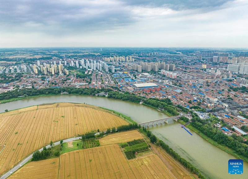 An aerial drone photo taken on June 5, 2026 shows a view of the Grand Canal in Gucheng County, Hengshui City, north China's Hebei Province.
Connecting the Chinese capital Beijing and Hangzhou in east China's Zhejiang Province, the Grand Canal, which was listed as a UNESCO World Heritage Site in 2014, is the world's longest artificial waterway.
Stretching approximately 75.1 kilometers, the Gucheng section of the Grand Canal has nourished the land along its banks for centuries and given rise to multiple provincial-level intangible cultural heritages.
In recent years, Gucheng County has boosted environmental conservation and cultural tourism development along the Grand Canal, transforming its banks into an ecological corridor with cultural richness. Photo: Xinhua