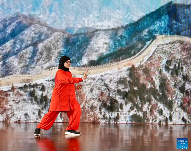 A competitor performs Tai Chi during the final of the 2026 Chinese Bridge Language Proficiency Competition in Dubai, the United Arab Emirates (UAE), June 6, 2026. Photo: Xinhua