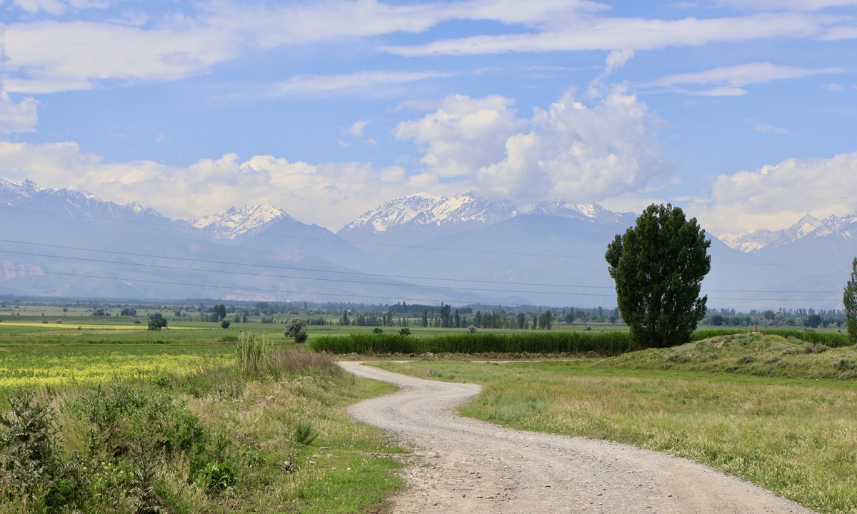 A view of the area where the Suyab ruins are located in Tokmok, Kyrgyzstan Photo: Lin Xiaoyi/GT