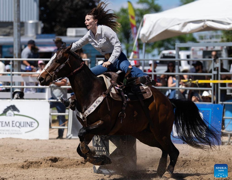 A cowgirl competes during the barrel racing competition at the 2026 RAM Rodeo Tour in Mono, Ontario, Canada, on June 7, 2026. Dozens of competitors participated in this event from June 6 to 7. (Photo by Zou Zheng/Xinhua)