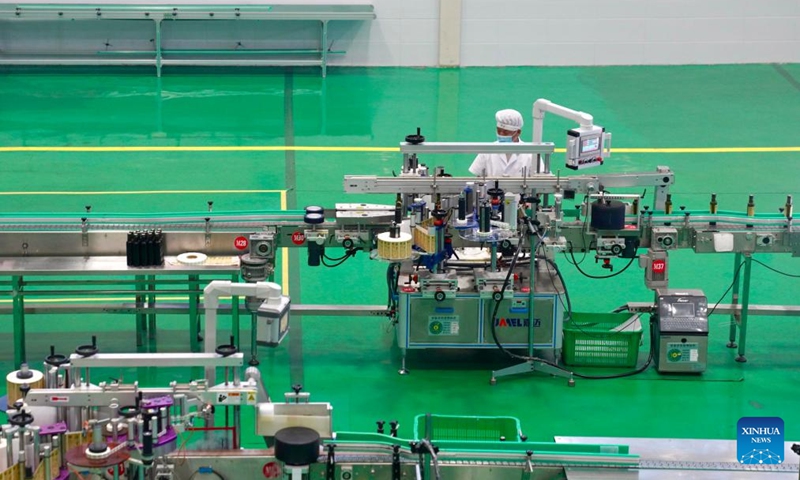 This photo taken on June 7, 2026 shows an olive oil production line at an olive processing company in Wudu District, Longnan, northwest China's Gansu Province.
Wudu District in Longnan is one of China's prime areas for olive cultivation, with its olive industry leading the nation in scale, output and economic returns.
By 2025, the olive plantation area of Wudu District covered about 42,800 hectares, generating a total output value of four billion yuan (about 591 million U.S. dollars).
The district has developed a comprehensive olive industry chain which incorporates over 80 products across 10 major categories, including olive oil, health supplements, and skincare items. Photo: Xinhua