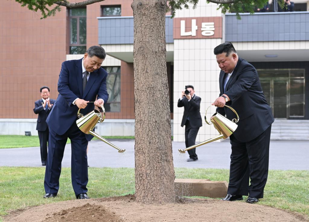 Xi Jinping, general secretary of the Communist Party of China Central Committee and Chinese president, and Kim Jong Un, general secretary of the Workers' Party of Korea (WPK) and president of the State Affairs of the Democratic People's Republic of Korea (DPRK), jointly plant a fir tree in the wooded area between teaching buildings of the Central Cadres Training School of the WPK in Pyongyang, the DPRK, June 9, 2026. On Tuesday morning, Xi, accompanied by Kim, visited the Central Cadres Training School of the WPK in Pyongyang. (Photo: Xinhua)