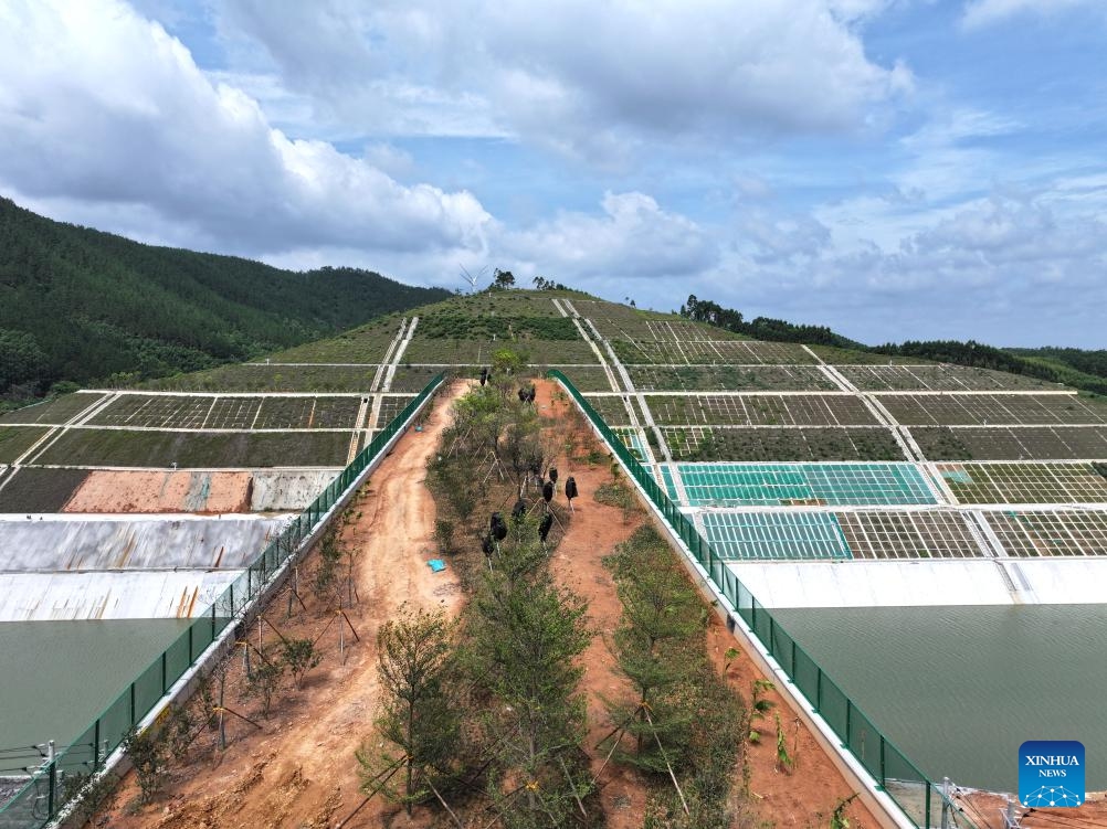 A drone photo taken on June 8, 2026 shows a view of the dedicated wildlife corridor bridge of the Pinglu Canal in Jiuzhou Town, Lingshan County of Qinzhou City in south China's Guangxi Zhuang Autonomous Region. As the country's first one of its kind to cross a large-scale canal, this 240-meter ecological corridor facilitates the migration of animals including masked palm civets, leopard cats, and red-bellied squirrels along both its banks. With simulation design, the structure induces wildlife to cross it as they do with a natural passage. (Photo: Xinhua)