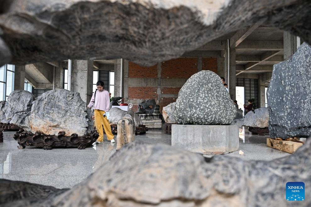 Visitors view exhibits at an ornamental stone museum in Xuyi, east China's Jiangsu Province, June 8, 2026. The museum opened here on Monday, displaying over 230,000 ornamental stones in a 100-hectare complex. (Photo: Xinhua)