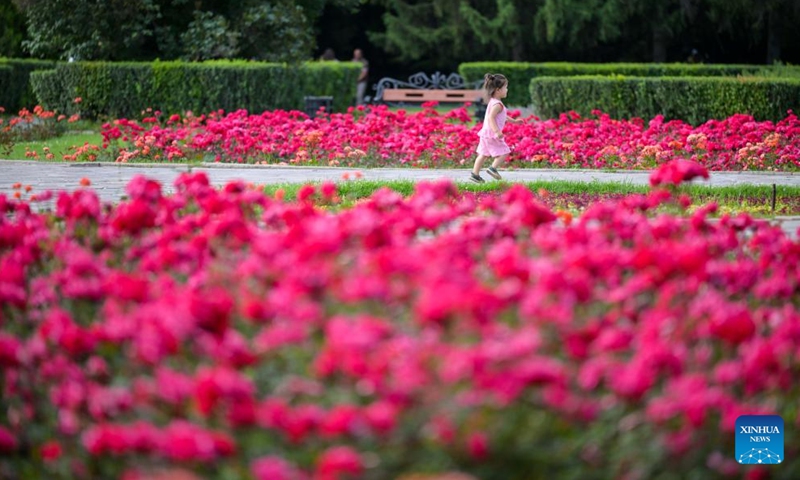 A girl enjoys herself at Central Park in Almaty, Kazakhstan, on June 8, 2026. (Photo: Xinhua)