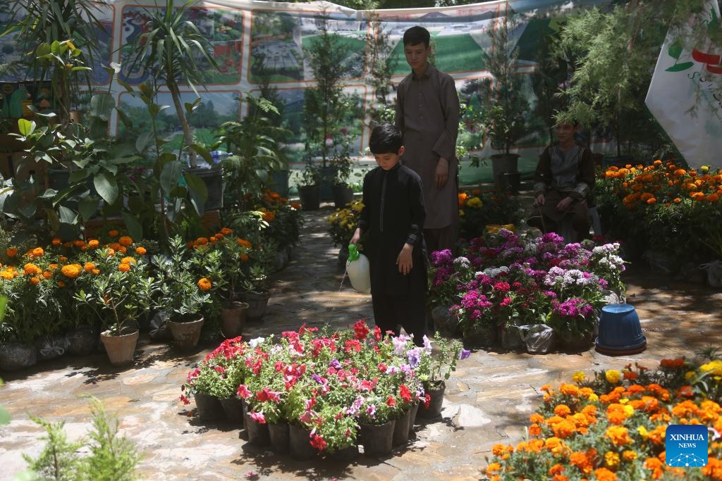 A child waters flowers at a flower and plant exhibition in Kabul, Afghanistan, June 10, 2026. (Photo: Xinhua)