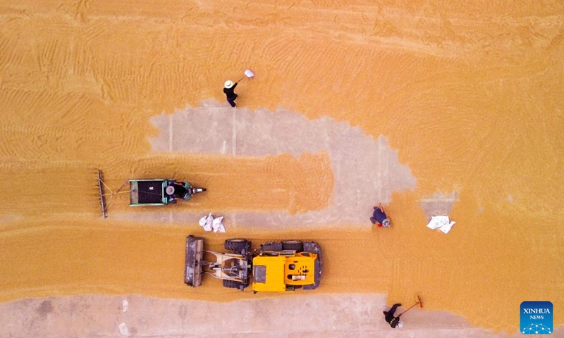 An aerial drone photo taken on June 10, 2026 shows farmers drying harvested wheat in Zhangzhuang Town, Yinan County of east China's Shandong Province. As of June 9, altogether 233 million Mu (15.53 million hectares) of wheat has been harvested across China, totaling 68.54 percent of the whole harvest work. (Photo: Xinhua)