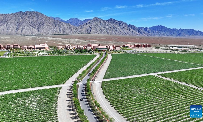 View of wine grape planting base at eastern foot of Helan Mountain in NW China’s Ningxia