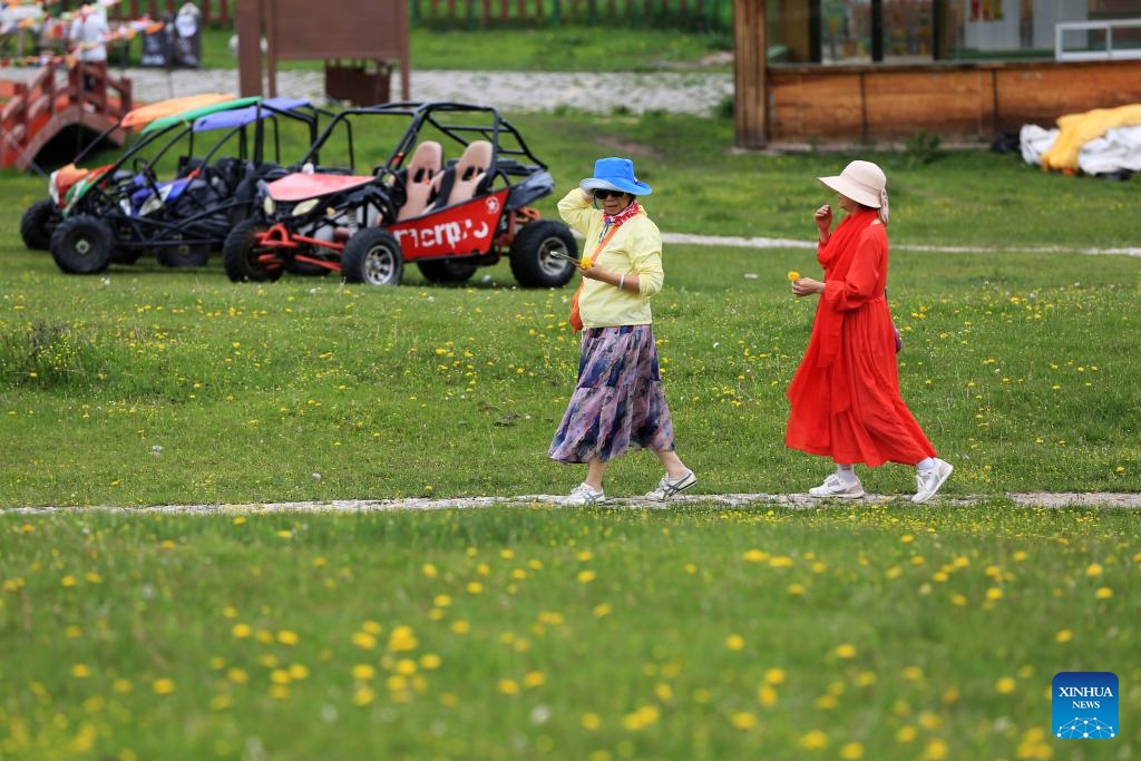 Visitors enjoy their leisure time at a grassland in Minxian County of Dingxi City, northwest China's Gansu Province, June 10, 2026. (Photo: Xinhua)