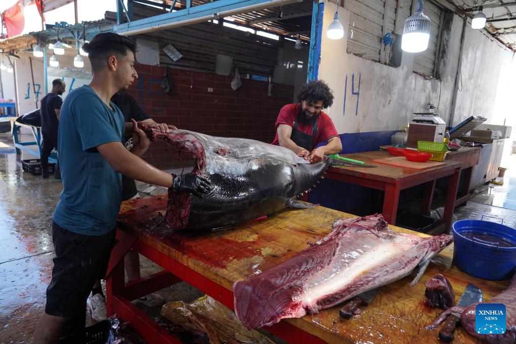 Fishermen butcher a tuna at a fish market in Tripoli, Libya, on June 1, 2026. (Photo: Xinhua)