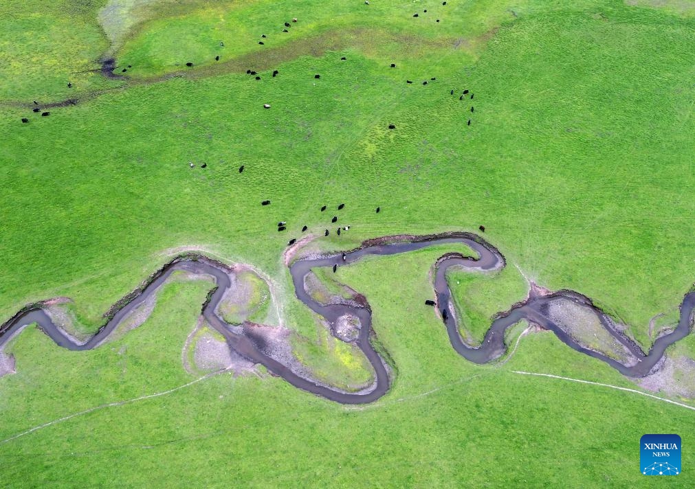 An aerial drone photo taken on June 10, 2026 shows the scenery of a grassland in Minxian County of Dingxi City, northwest China's Gansu Province. (Photo: Xinhua)