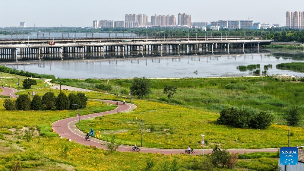 An aerial drone photo taken on June 3, 2026 shows cyclists riding by the Hutuo River in Shijiazhuang City, north China's Hebei Province. The Shijiazhuang section of the Hutuo River is about 205 kilometers long and flows through many districts and counties of the city. It is called the mother river of the city. Since 2017, Shijiazhuang has implemented ecological restoration in stages along the river. Nowadays, the banks of the Hutuo River have become popular leisure destinations for local residents, while a growing number of emerging urban functions are also clustered here. (Photo: Xinhua)
