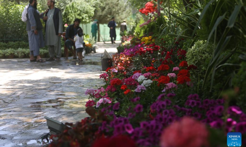People visit a flower and plant exhibition in Kabul, Afghanistan, June 10, 2026. (Photo: Xinhua)