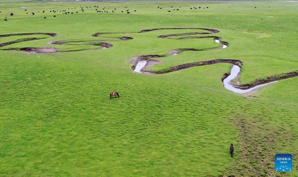 An aerial drone photo taken on June 10, 2026 shows the scenery of a grassland in Minxian County of Dingxi City, northwest China's Gansu Province. (Photo: Xinhua)