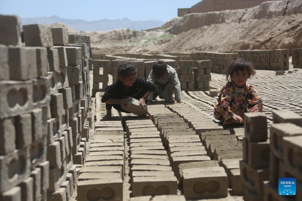 Afghan children work at a brick factory in Kabul, Afghanistan, June 9, 2026. As the international community observes the World Day Against Child Labor on June 12, millions of Afghan children are leaving school to work in brick kilns, markets, construction sites, and workshops, driven by grinding poverty that has upended families across the poverty-stricken country. (Photo by Saifurahman Safi/Xinhua)