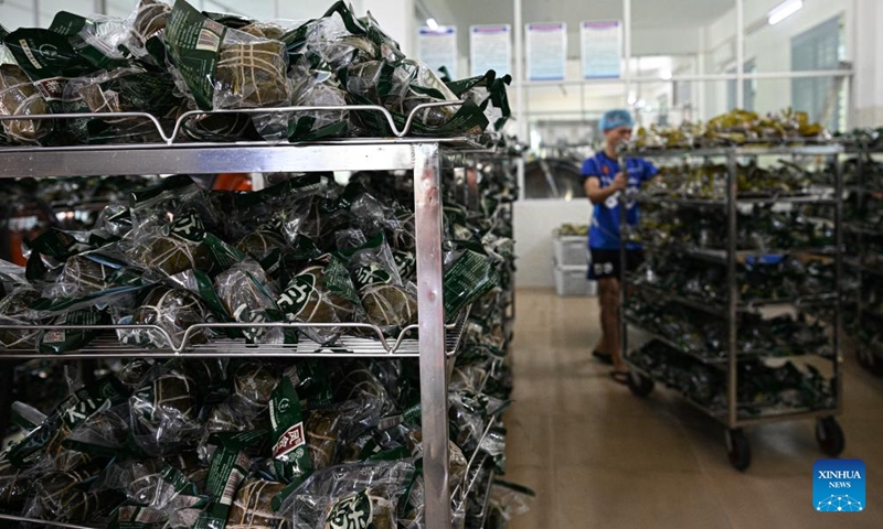 Vacuum packed Fenghui zongzi are seen after high-temperature sterilization at a workshop in Wenchang, south China's Hainan Province, June 12, 2026. Fenghui zongzi, which are sticky rice dumplings originated in Fenghui Village of Wenchang, stand as a representative of local zongzi varieties. With the Dragon Boat Festival approaching, local producers of Fenghui zongzi are ramping up production to meet market demand. (Xinhua/Pu Xiaoxu)