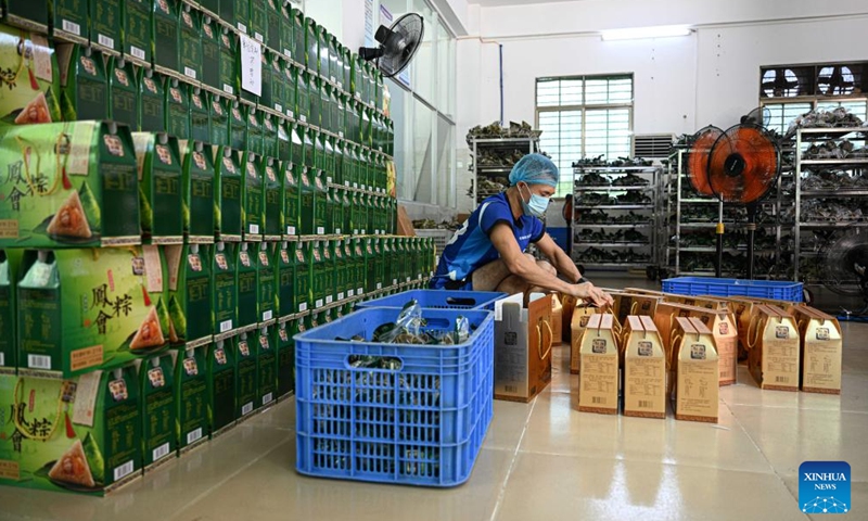 A staff member vacuum-packs Fenghui zongzi at a workshop in Wenchang, south China's Hainan Province, June 12, 2026. Fenghui zongzi, which are sticky rice dumplings originated in Fenghui Village of Wenchang, stand as a representative of local zongzi varieties. With the Dragon Boat Festival approaching, local producers of Fenghui zongzi are ramping up production to meet market demand. (Xinhua/Pu Xiaoxu)