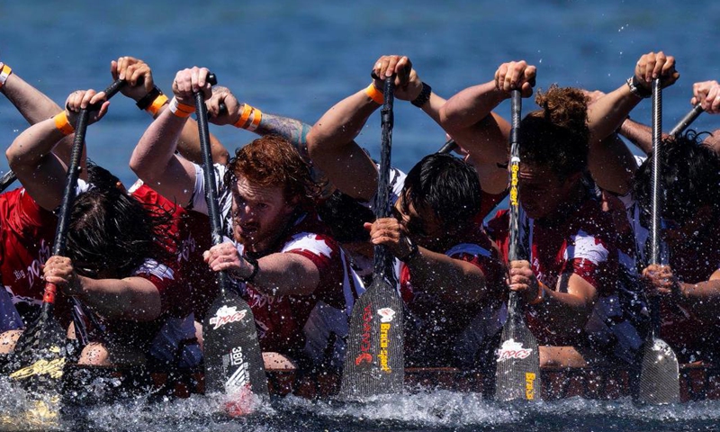 Participants compete on Lake Ontario at the 2026 Toronto International Dragon Boat Race Festival in Toronto, Canada, on June 13, 2026. The annual two-day event kicked off here on Saturday, attracting hundreds of teams worldwide. (Photo by Zou Zheng/Xinhua)