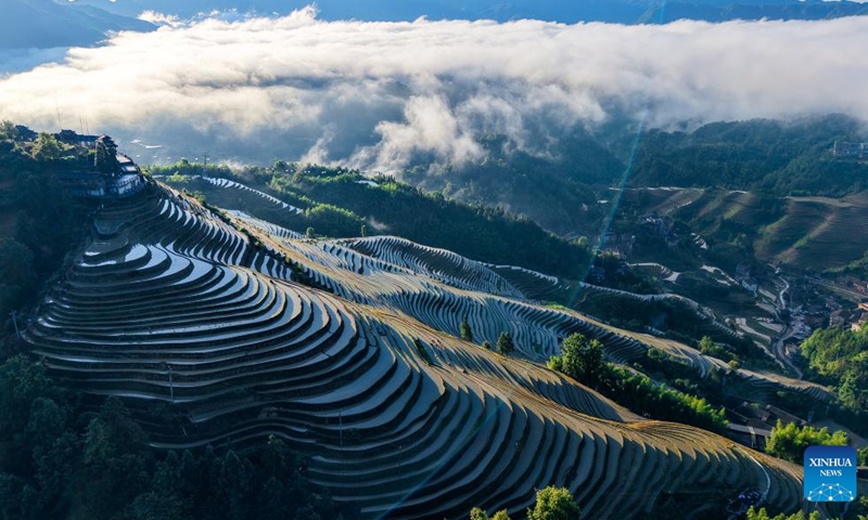 A drone photo taken on June 14, 2026 shows the scenery at Longji terraced fields in Longsheng Ge Autonomous County of Guilin City, south China's Guangxi Zhuang Autonomous Region. (Photo by Pan Zhixiang/Xinhua)