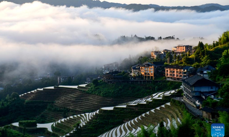 This photo taken on June 14, 2026 shows the scenery at Longji terraced fields in Longsheng Ge Autonomous County of Guilin City, south China's Guangxi Zhuang Autonomous Region. (Photo by Pan Zhixiang/Xinhua)