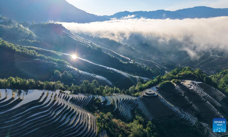 A drone photo taken on June 14, 2026 shows the scenery at Longji terraced fields in Longsheng Ge Autonomous County of Guilin City, south China's Guangxi Zhuang Autonomous Region. (Photo by Pan Zhixiang/Xinhua)
