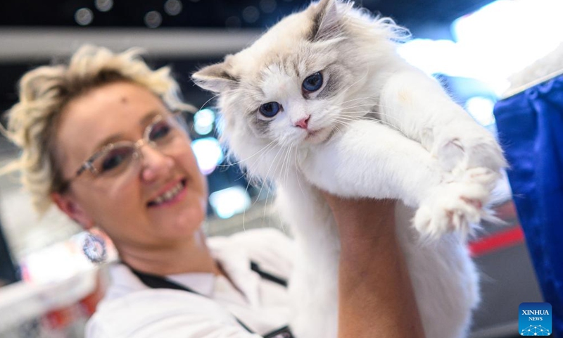 A cat is displayed during a purebred cat exhibition in Zagreb, Croatia, June 14, 2026. A purebred cat exhibition, organized by the Association of Felinological Societies of Croatia, was held on Sunday at the King Cross shopping center in Zagreb. (Davor Puklavec/PIXSELL via Xinhua)