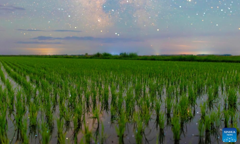 This photo taken on June 11, 2026 shows paddy fields under starry sky in Fujin City, northeast China's Heilongjiang Province. (Photo by Qu Yubao/Xinhua)