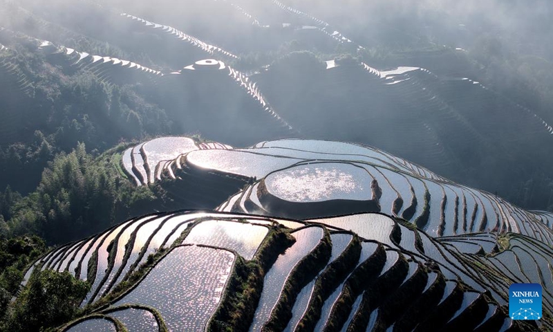 A drone photo taken on June 14, 2026 shows the scenery at Longji terraced fields in Longsheng Ge Autonomous County of Guilin City, south China's Guangxi Zhuang Autonomous Region. (Photo by Pan Zhixiang/Xinhua)