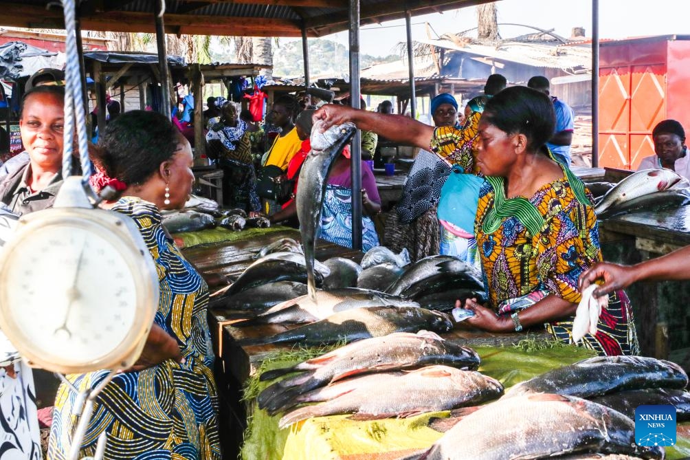 A vendor sells fish to a customer at a fish market along Lake Victoria in Mwanza, Tanzania, June 15, 2026. The Mwanza region in northern Tanzania is the core fishing hub on Lake Victoria, and its local fish market is busy with trade every day. (Photo: Xinhua)