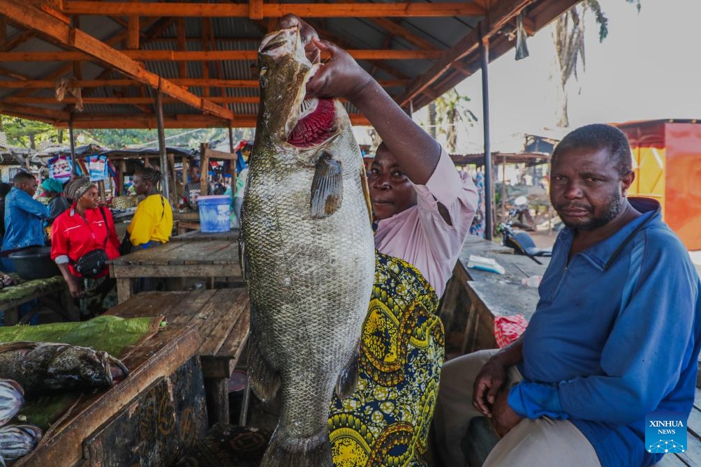 A vendor shows a large bass at a fish market along Lake Victoria in Mwanza, Tanzania, June 15, 2026. The Mwanza region in northern Tanzania is the core fishing hub on Lake Victoria, and its local fish market is busy with trade every day. (Photo: Xinhua)
