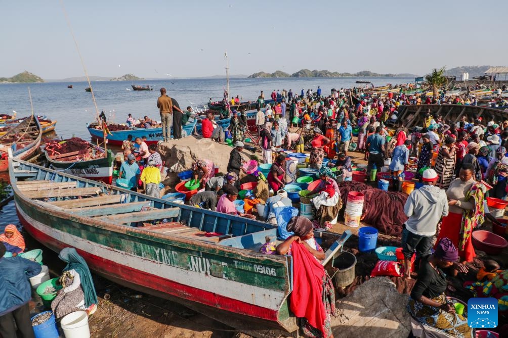 Fishermen and vendors gather around boats and prepare to sort freshly-caught fish along Lake Victoria in Mwanza, Tanzania, June 15, 2026. The Mwanza region in northern Tanzania is the core fishing hub on Lake Victoria, and its local fish market is busy with trade every day. (Photo: Xinhua)