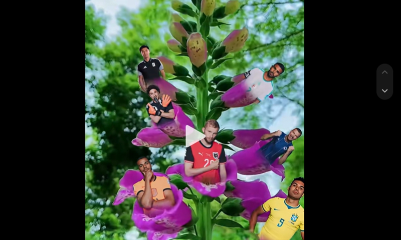 A screen shot of FIFA's promotional video featuring traditional folk music, oversized floral graphics and Chinese referee Ma Ning atop a blooming stalk