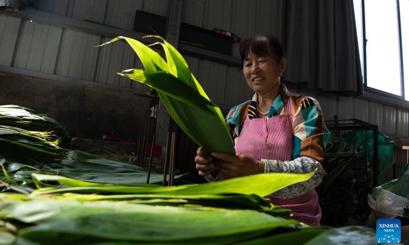 A villager selects bamboo leaves at a company at Xitian Village of Xiuning County, Huangshan City of east China's Anhui Province, June 15, 2026. Shiren Village, dubbed the hometown of zongzi (sticky rice dumplings) in ancient Huizhou, boasts a long tradition of zongzi making. The annual sales of zongzi in the village has reached 900,000 yuan (about 133,000 U.S. dollars). (Xinhua/Zhang Duan)
