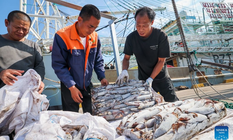 Employees of a fishery company unload squids frozen after capture at a wharf of Shidao Port in Rongcheng, east China's Shandong Province, June 17, 2026. A fleet of 12 deep-sea fishing vessels returned to Shidao Port with over 2,400 tonnes of catches after a ten-month operation on Wednesday.
The port sees an influx of returning deep-sea fishing vessels around the Dragon Boat festival, which falls on June 19 this year. Expecting more than 80 of these vessels to arrive during the period, local port authorities have implemented measures to facilitate the clearance process for the catches. (Xinhua/Zhu Zheng)