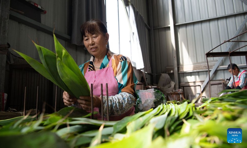 A villager selects bamboo leaves at a company at Xitian Village of Xiuning County, Huangshan City of east China's Anhui Province, June 15, 2026. Shiren Village, dubbed the hometown of zongzi (sticky rice dumplings) in ancient Huizhou, boasts a long tradition of zongzi making. The annual sales of zongzi in the village has reached 900,000 yuan (about 133,000 U.S. dollars). (Xinhua/Zhang Duan)